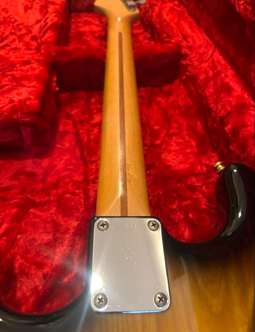 鬼虎目ネック！seymour duncan DS traditional