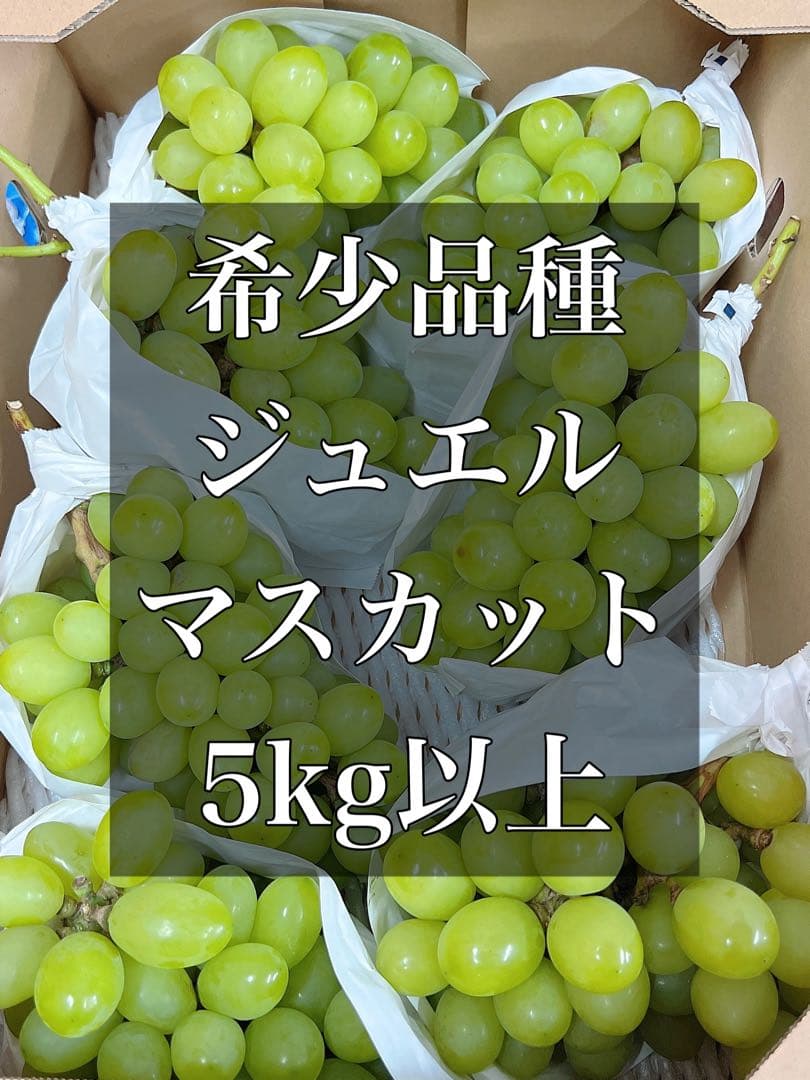 希少品種　ジュエルマスカット　甘い秀品　種無しぶどう