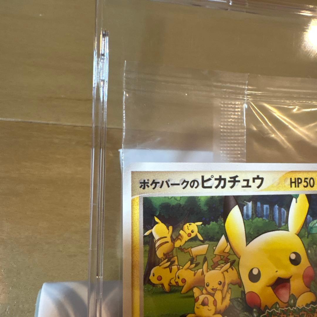 ポケパークのピカチュウ　プロモカード未開封