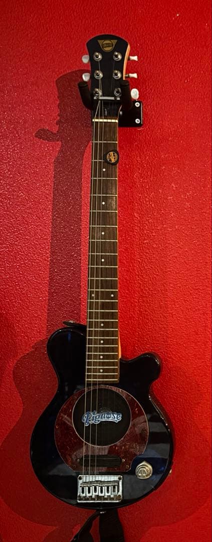 pignose アクリル ブルー ジャンク