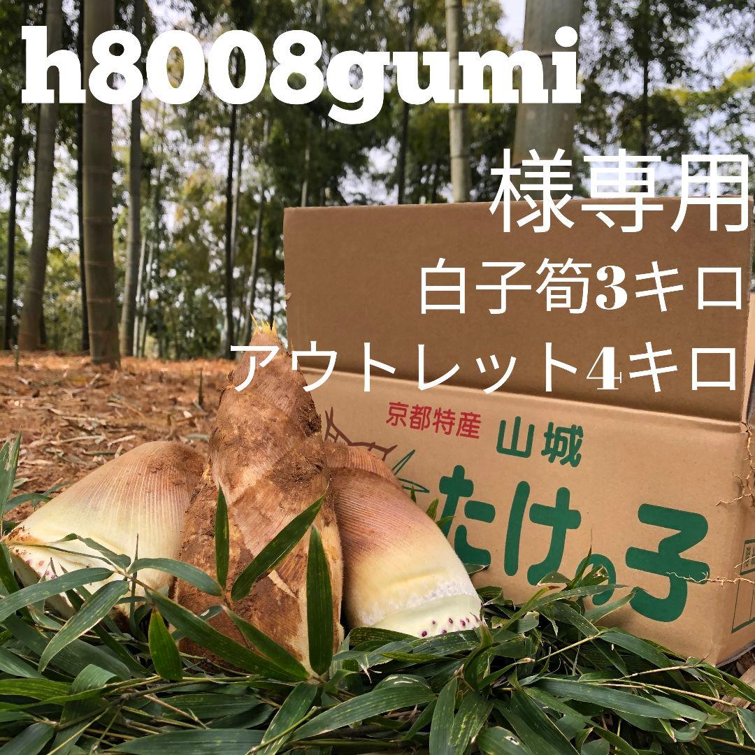 h8008gumi 白子筍 3キロアウトレット4キロ