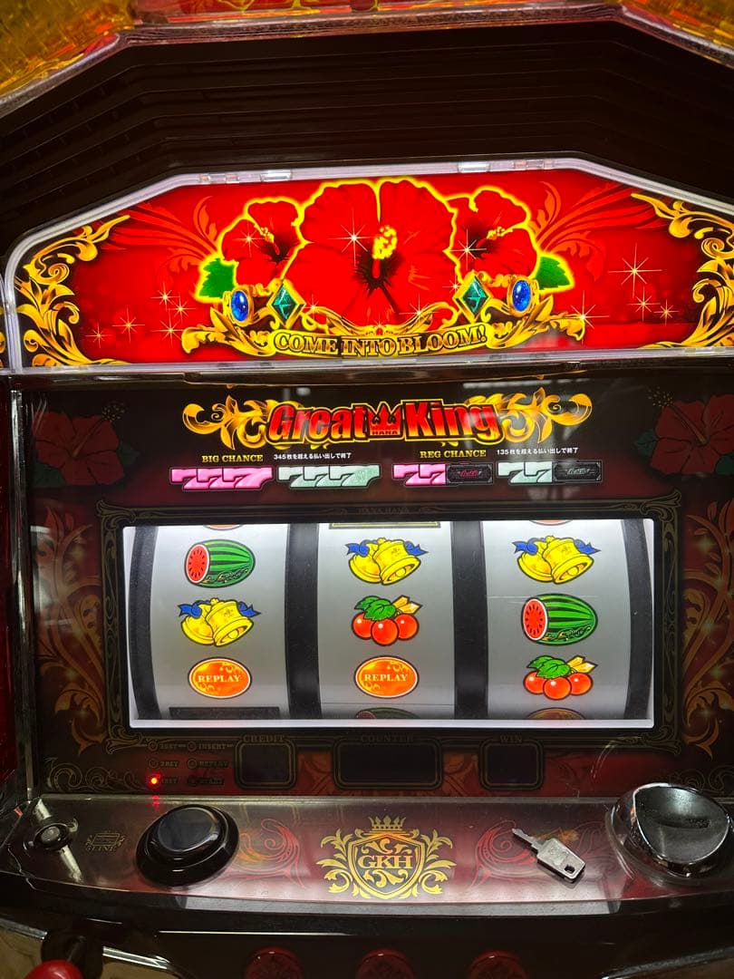 グレートキング　ハナハナ DX-30