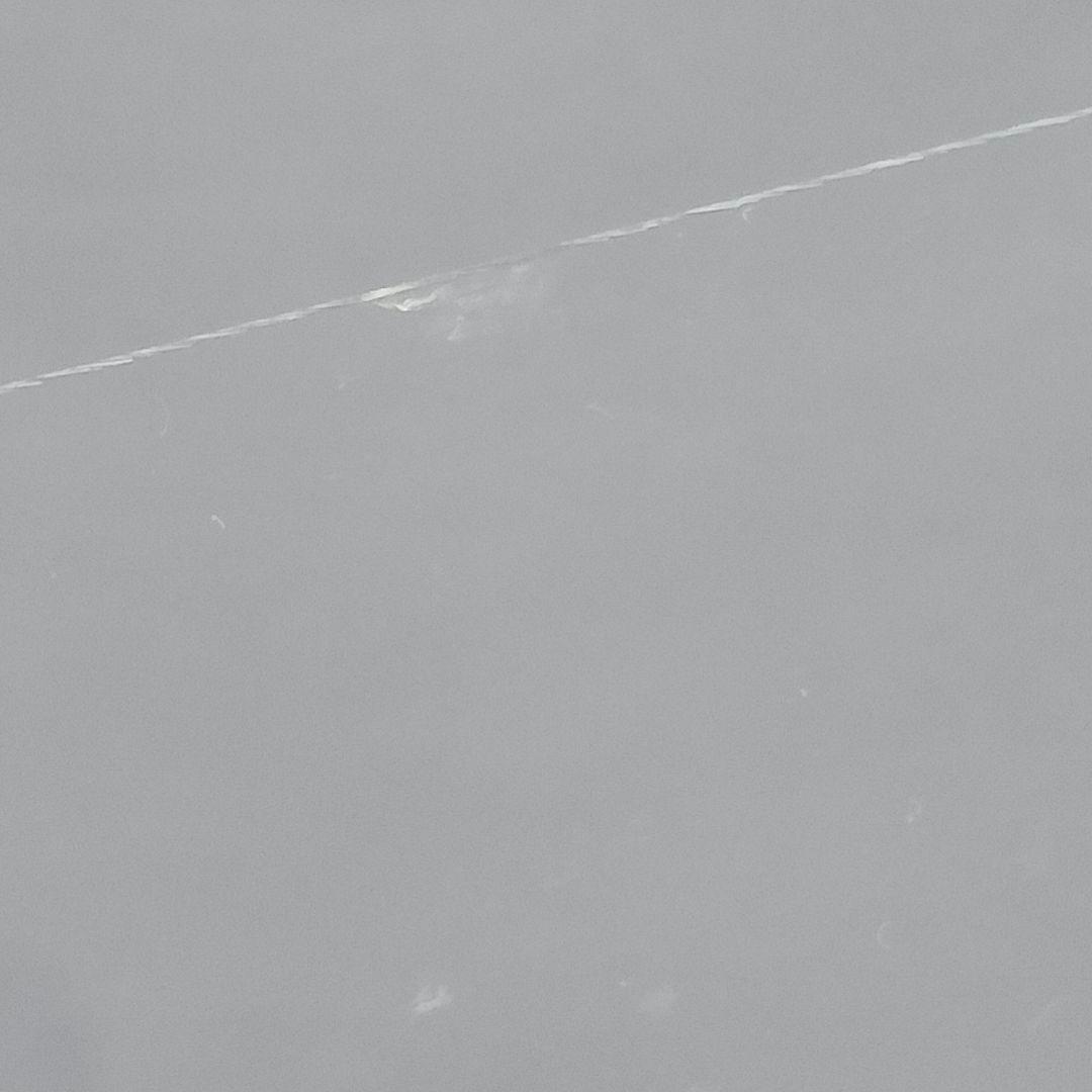 【古シミあり】佐藤圀夫　リトグラフ　鶴二題「翔」「白月」毎日新聞社