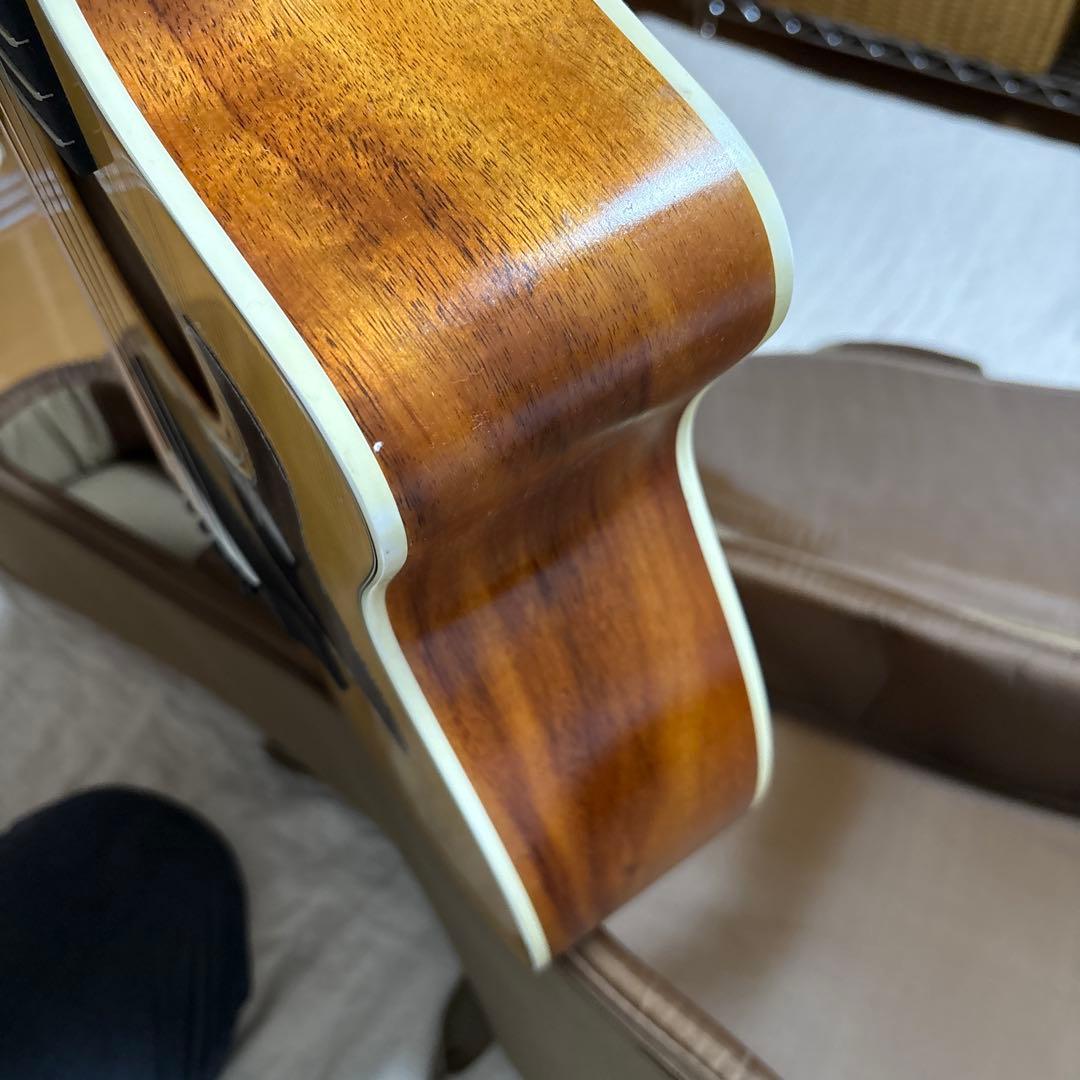 （美品）Taylor 214ce-Koa