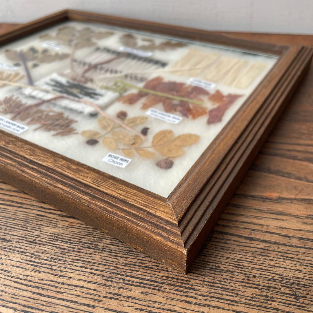 ネイティブアメリカン ナバホ族 草木染め 色見本 オルテガ 毛織物 額装 木製