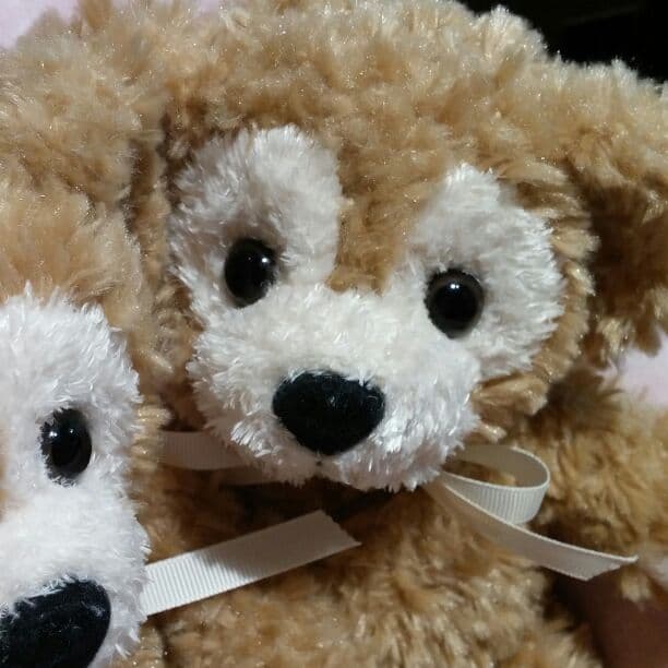 かなるん様　ご確認ページ