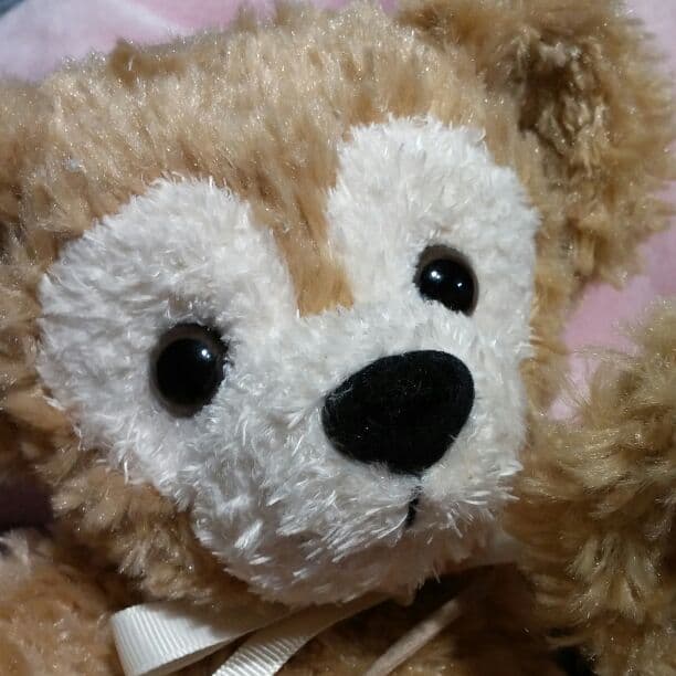 かなるん様　ご確認ページ