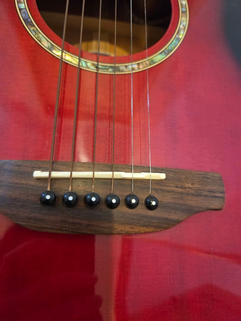 ARIA エレアコ　Elecord FET-STDRS