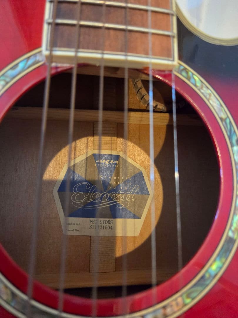 ARIA エレアコ　Elecord FET-STDRS