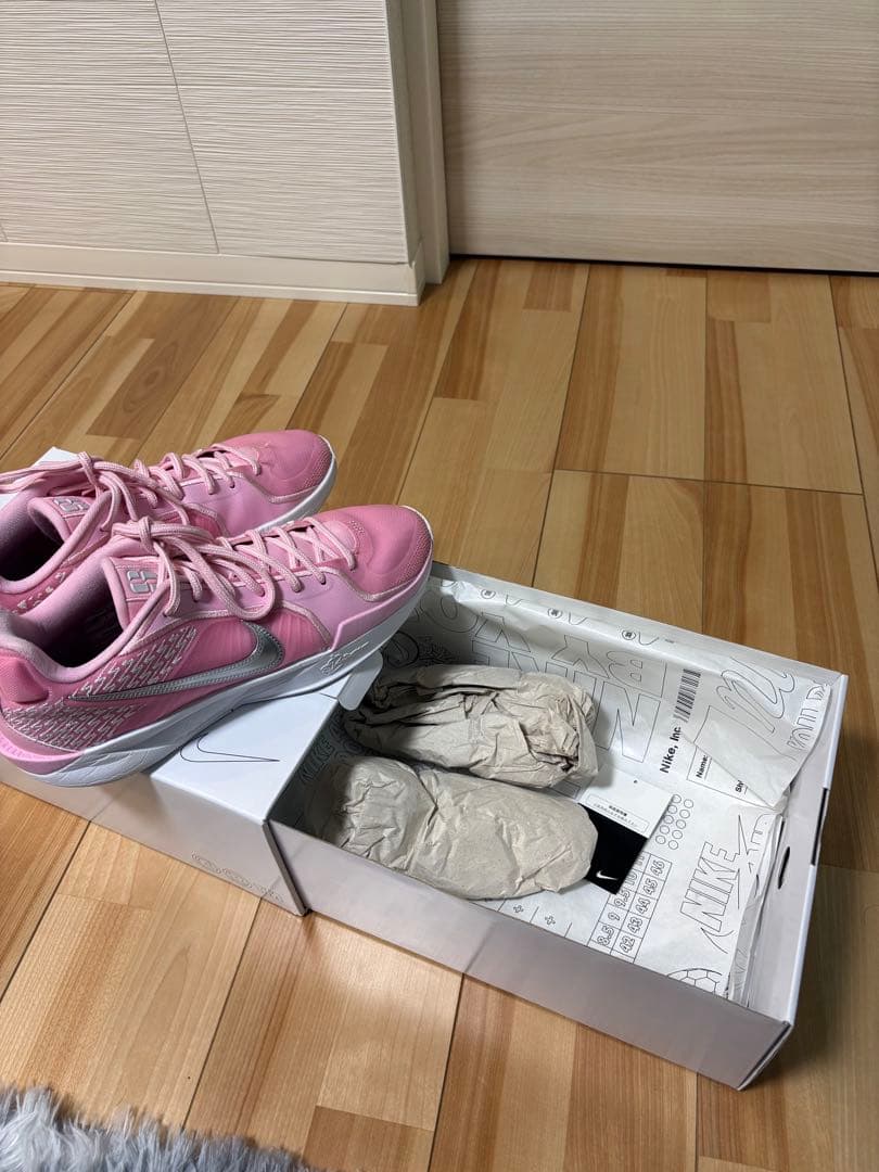 ナイキ サブリナ2