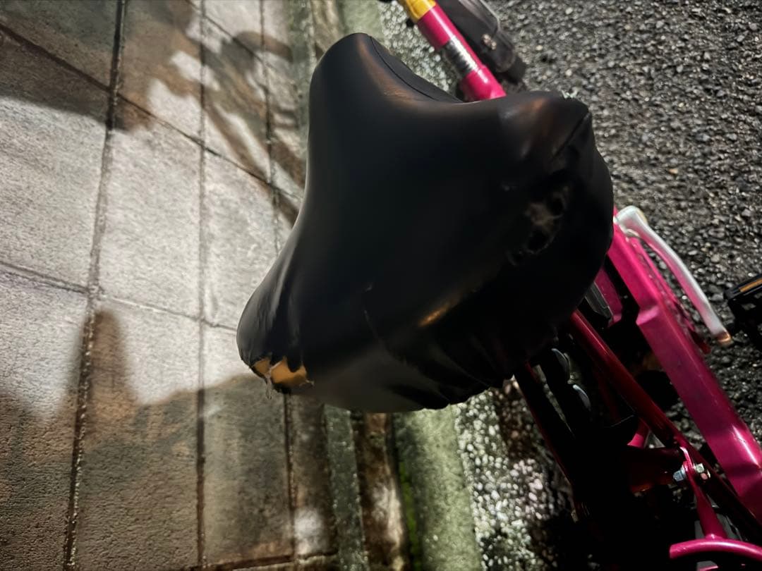 Panasonic ギュットミニ　電動アシスト自転車