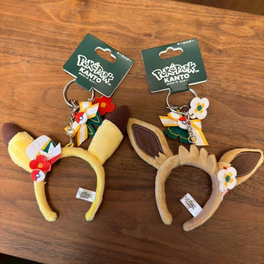 ポケパーク　ピカチュウ・イーブイ セット