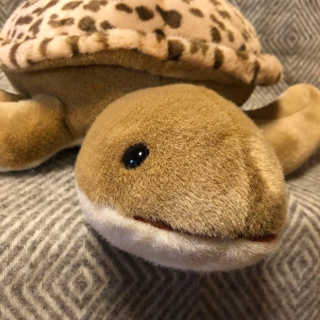 セキグチ　ウミガメ　亀　かめ　Earth Wind ぬいぐるみ