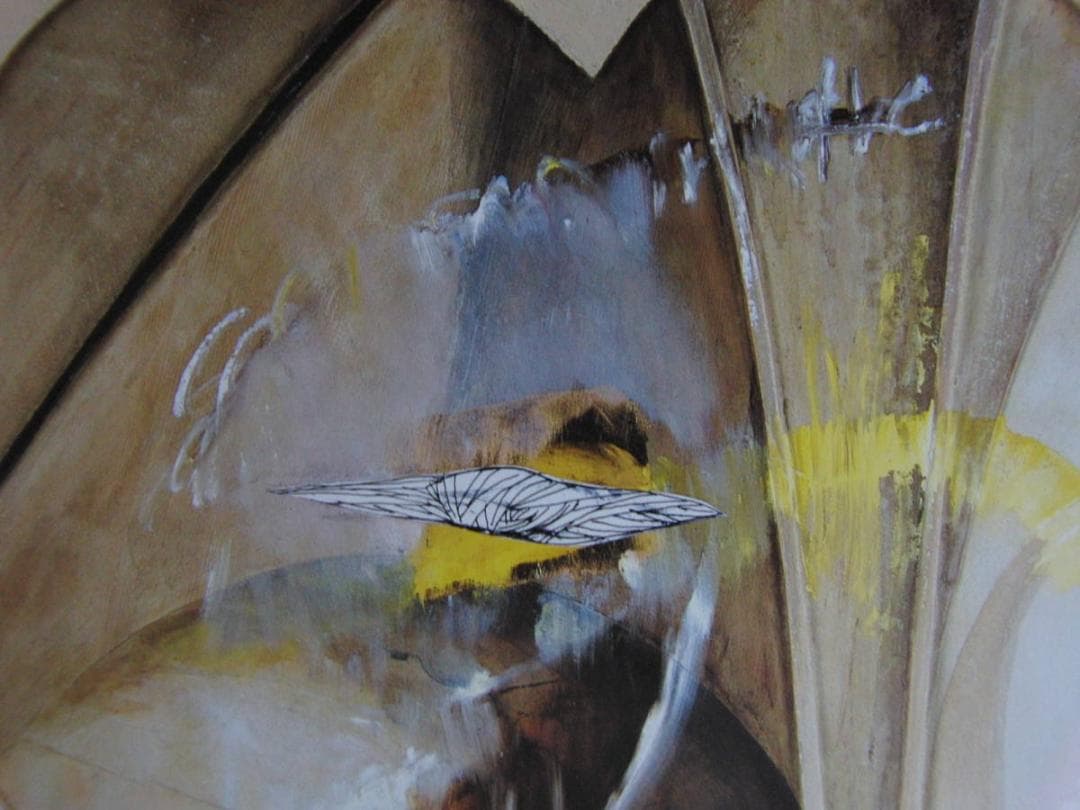 保田井智之、希少な額装用画集より、新品額装付、状態良好