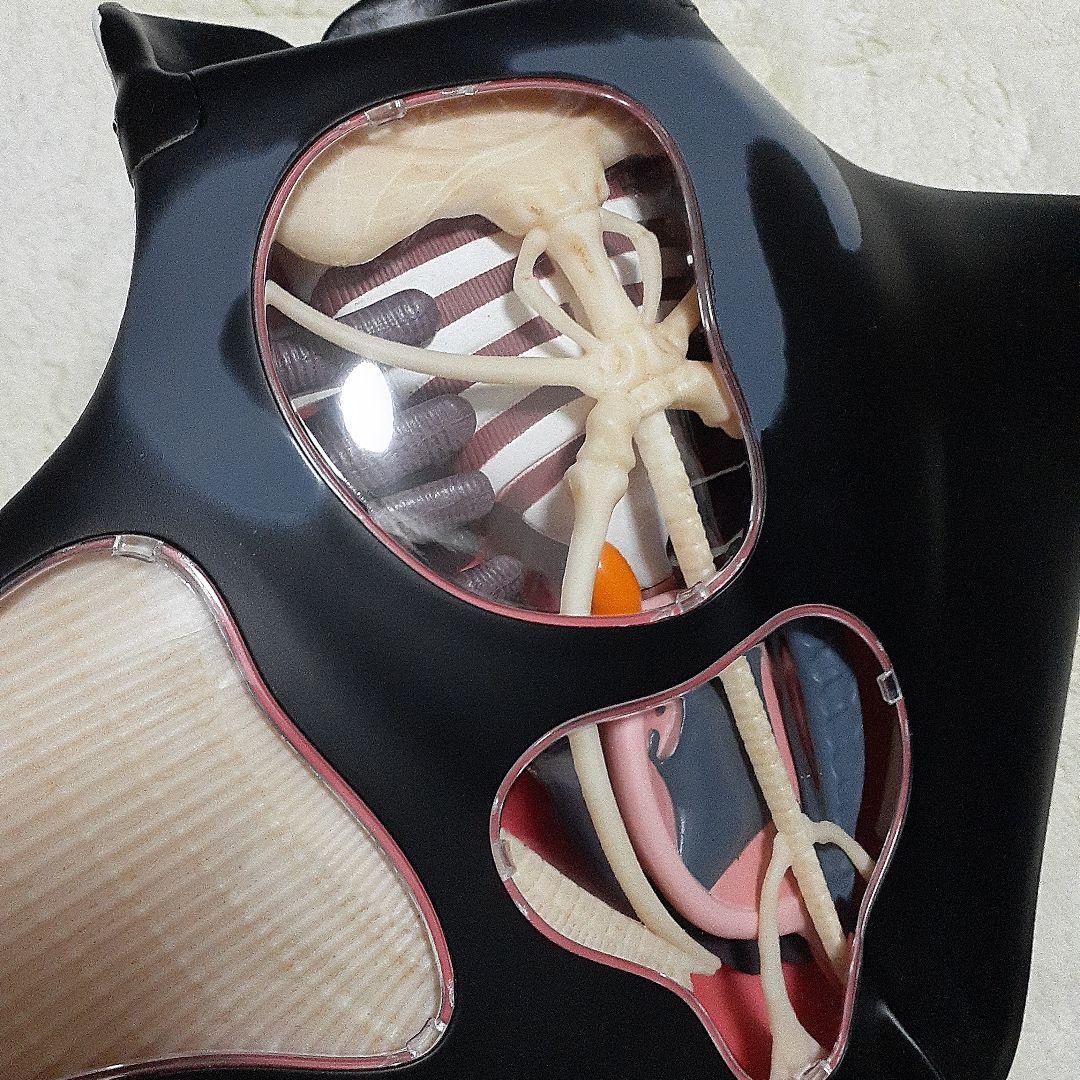 4D-VISON　マンタ　イルカ　サメ　フィギュア　解剖模型　パズル　3体セット