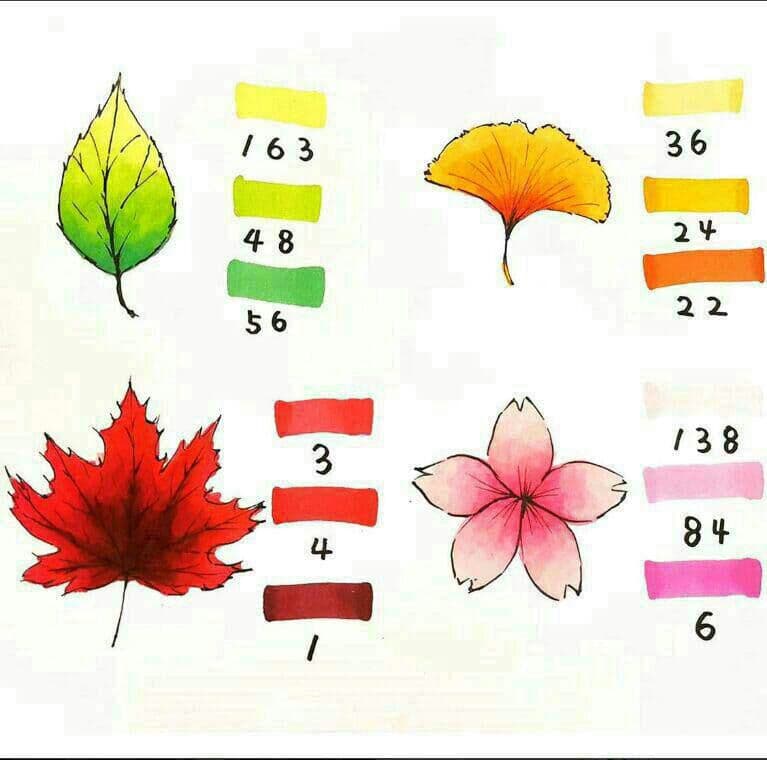 マーカーペン 204色セット 漫画 デザイン イラスト コピック練習用67