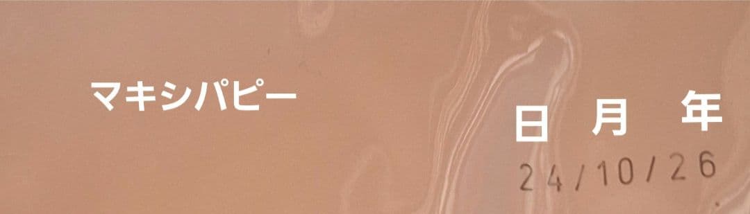 ロイヤルカナン　マキシパピー　16kg　CANIN 超大型犬　子犬用