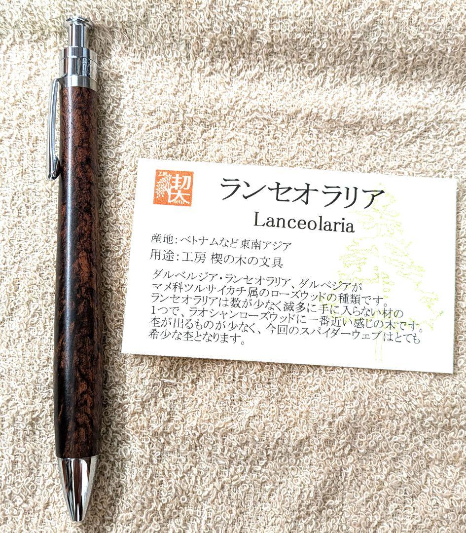 工房楔　ランセオラリア　ボールペン　 新宿個展作品