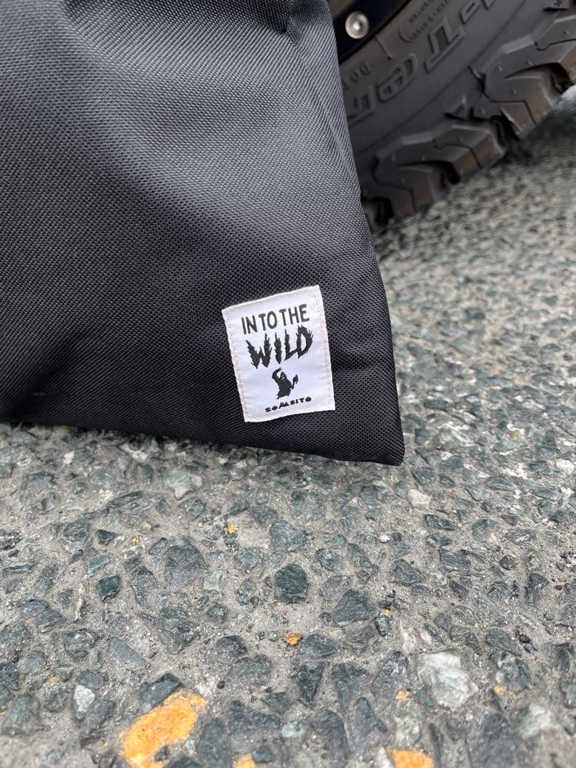 アッソブ　ローバーチェア　専用ピロー、収納カバー付属