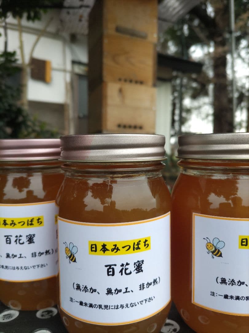 新蜜　日本ミツバチの百花蜜（１年物）㊶　550ｇ✕4本（2.2Kｇ）