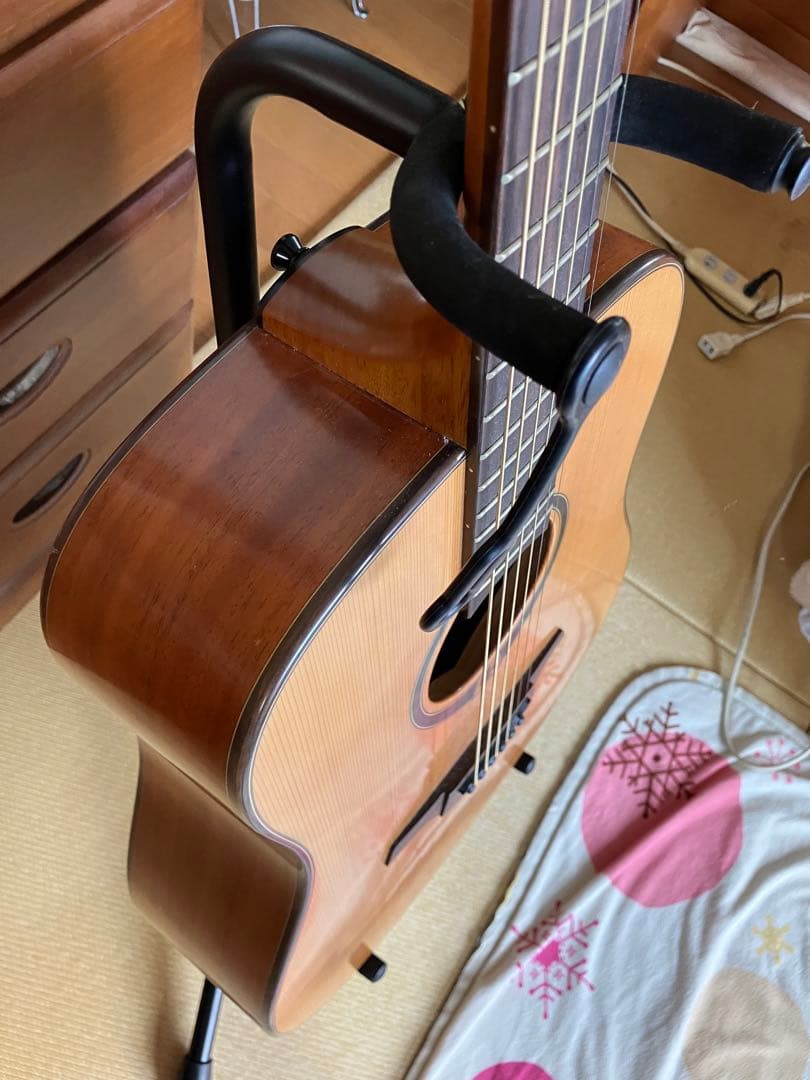 LAG GUITARSラグギター　T200D アコースティックギター