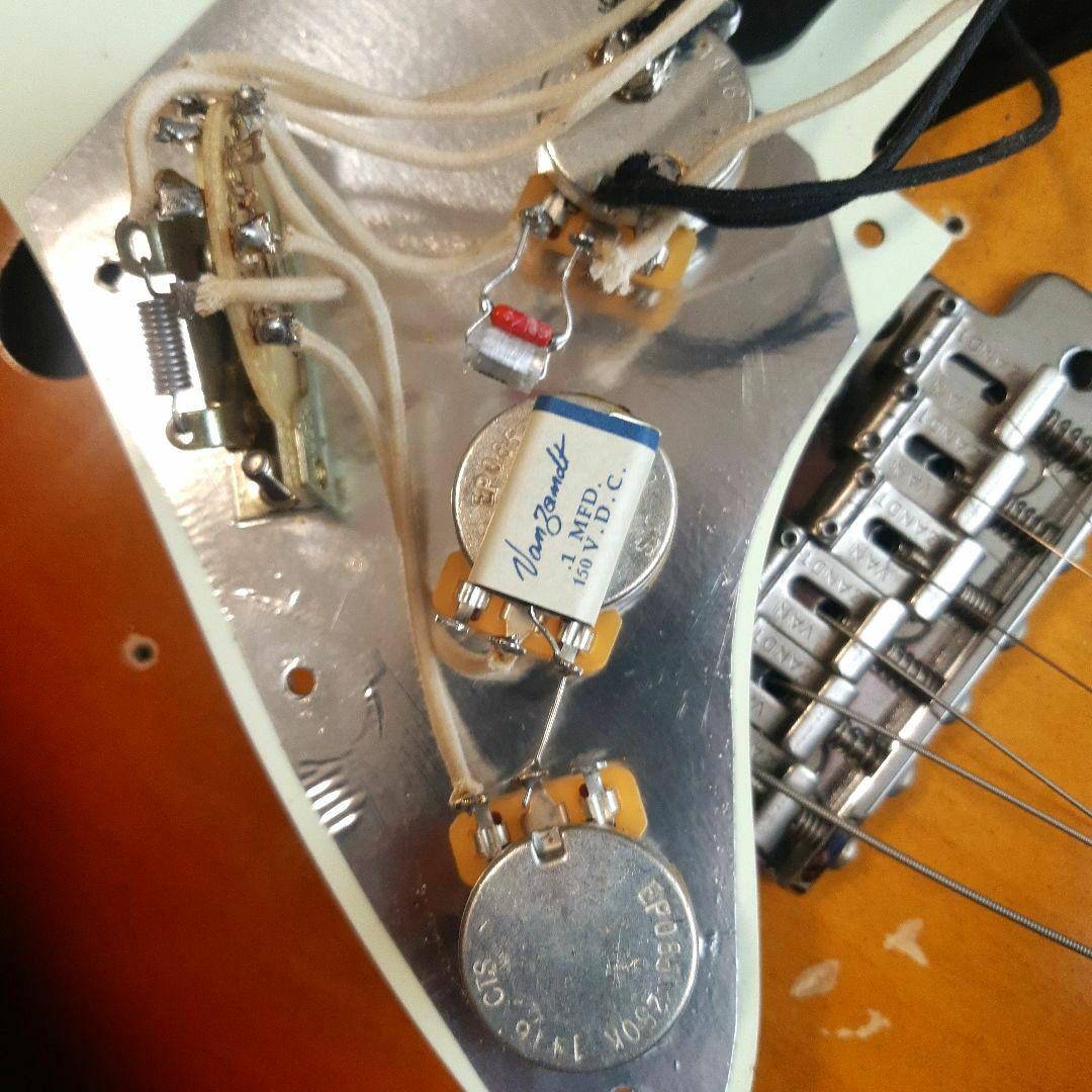 Vanzandt STV-R2 マダガスカルローズ指板！