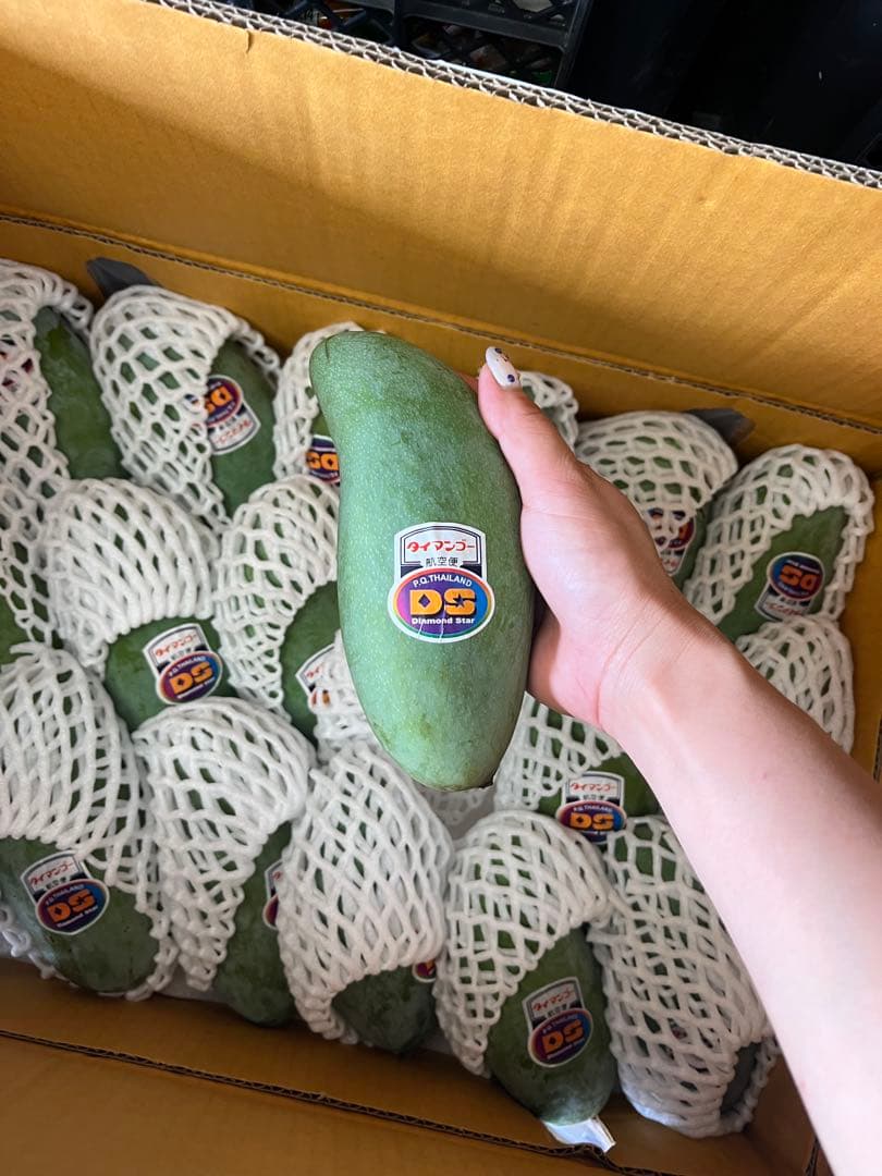 ❥Lum୨୧ *⑅❤︎·̩͙·̩͙　甘いマンゴー　16個