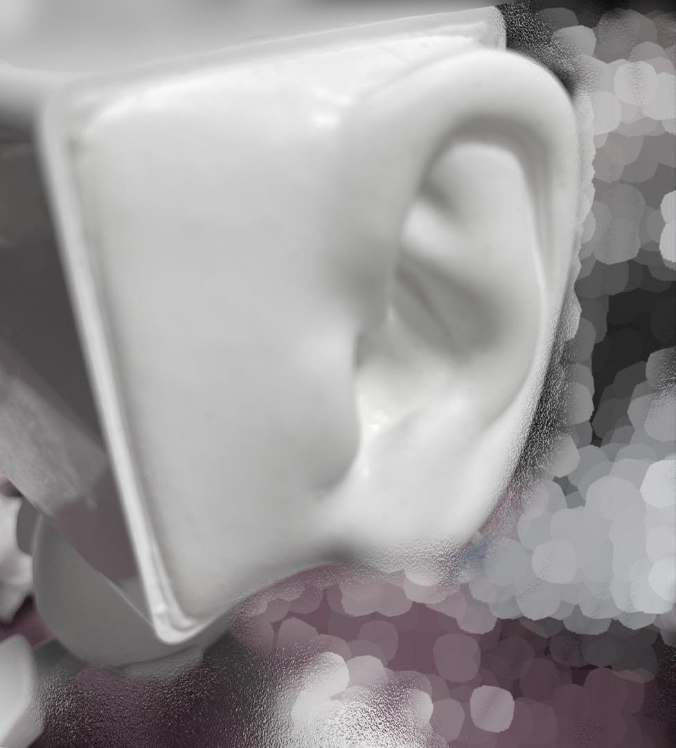 SR3D バイノーラルマイク XLR用 ASMRなどに