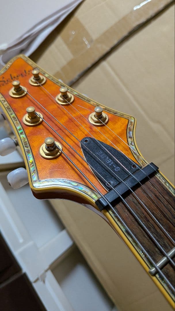 [クリスマスセール] Schecter Diamond C-1 Elite