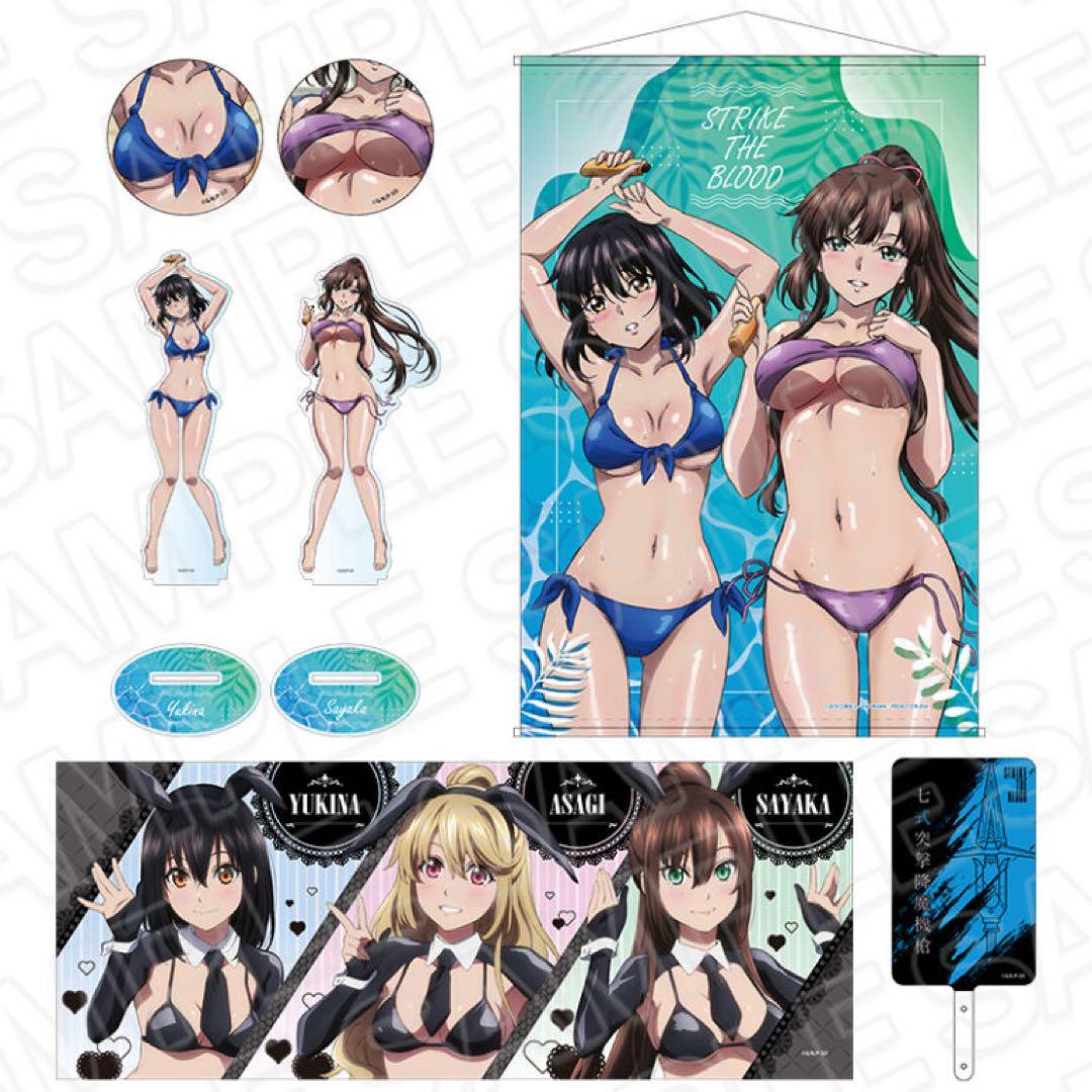 ストライク・ザ・ブラッド　コミケ会場限定セット　姫柊雪菜　藍羽浅葱　煌坂紗