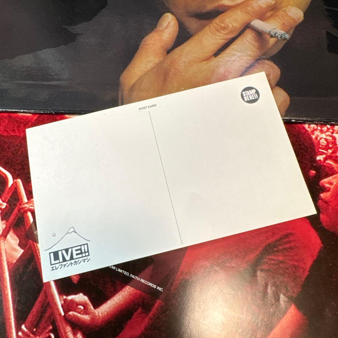 エレファントカシマシ LIVE!! ツアーパンフレット