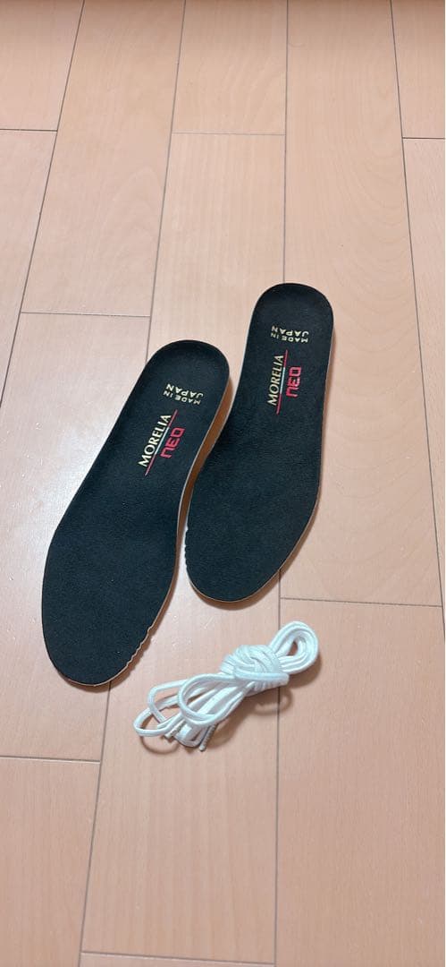 モレリアNEO4 24.5センチ