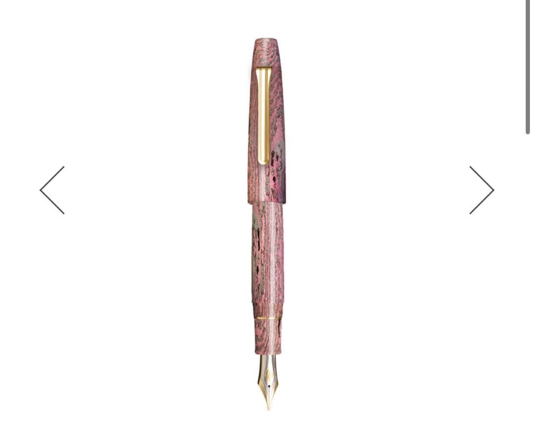 【新品未使用】SAILORセーラー万年筆長刀研ぎエボナイト万年筆梅咲　太字　B