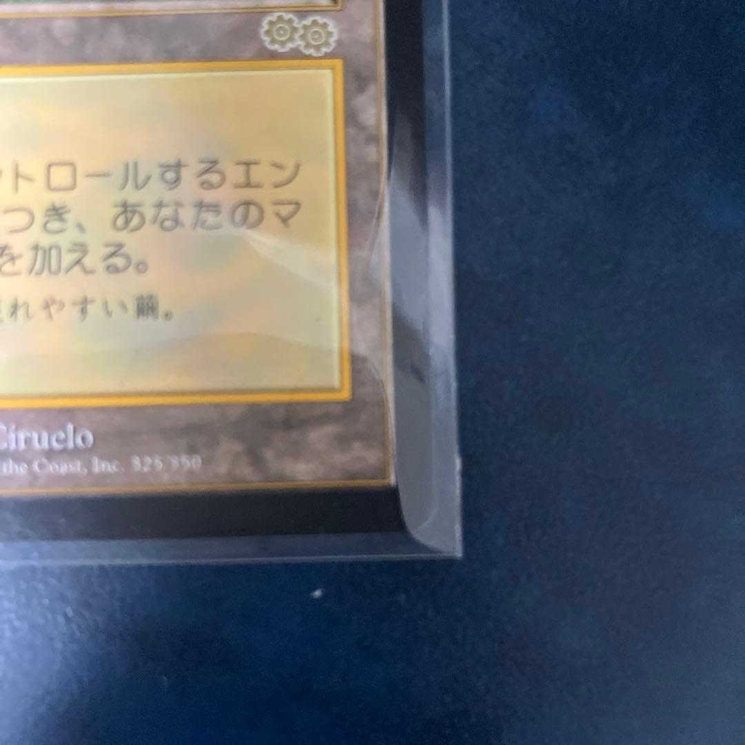 セラの聖域 伝説の土地 日本語版　MTG マジックザギャザリング