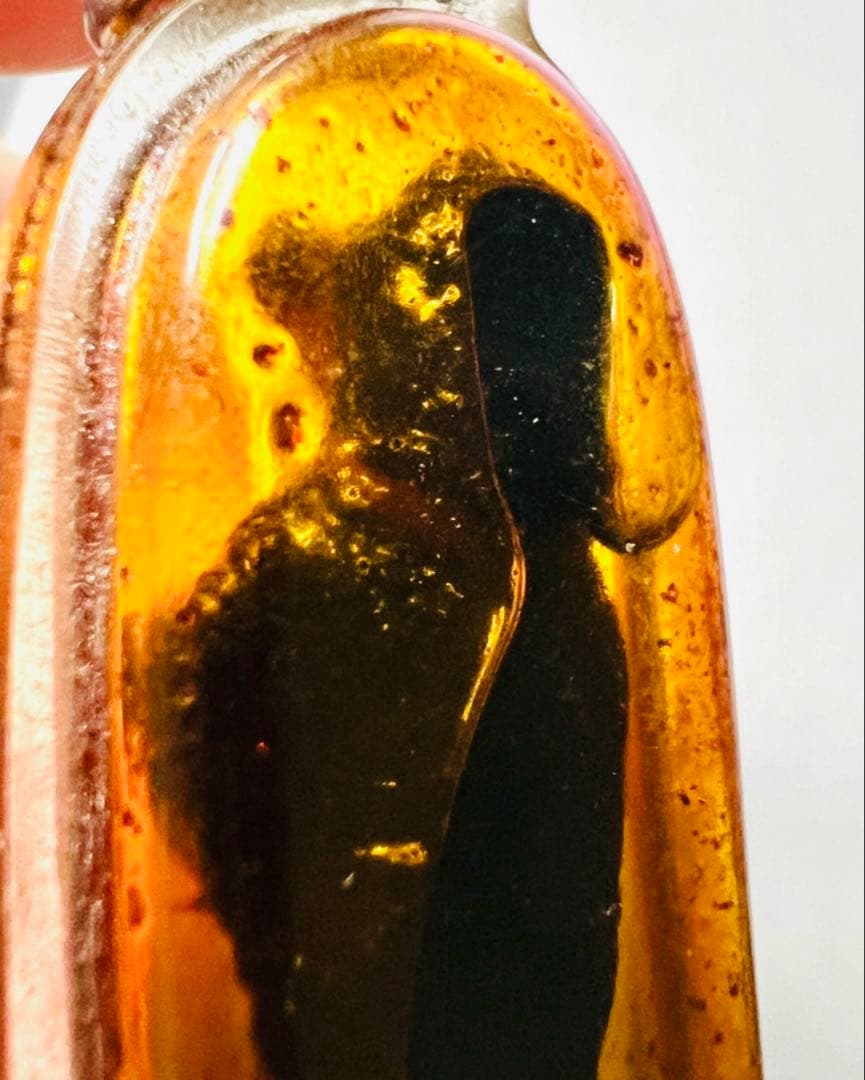 【限定1】入手困難 カマーントン　ポルセーン（神秘の黒木）富、幸運、プラクルアン