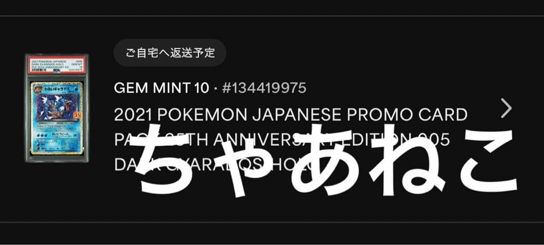 PSA10＊わるいギャラドス 25th プロモ 25周年 Gyarados