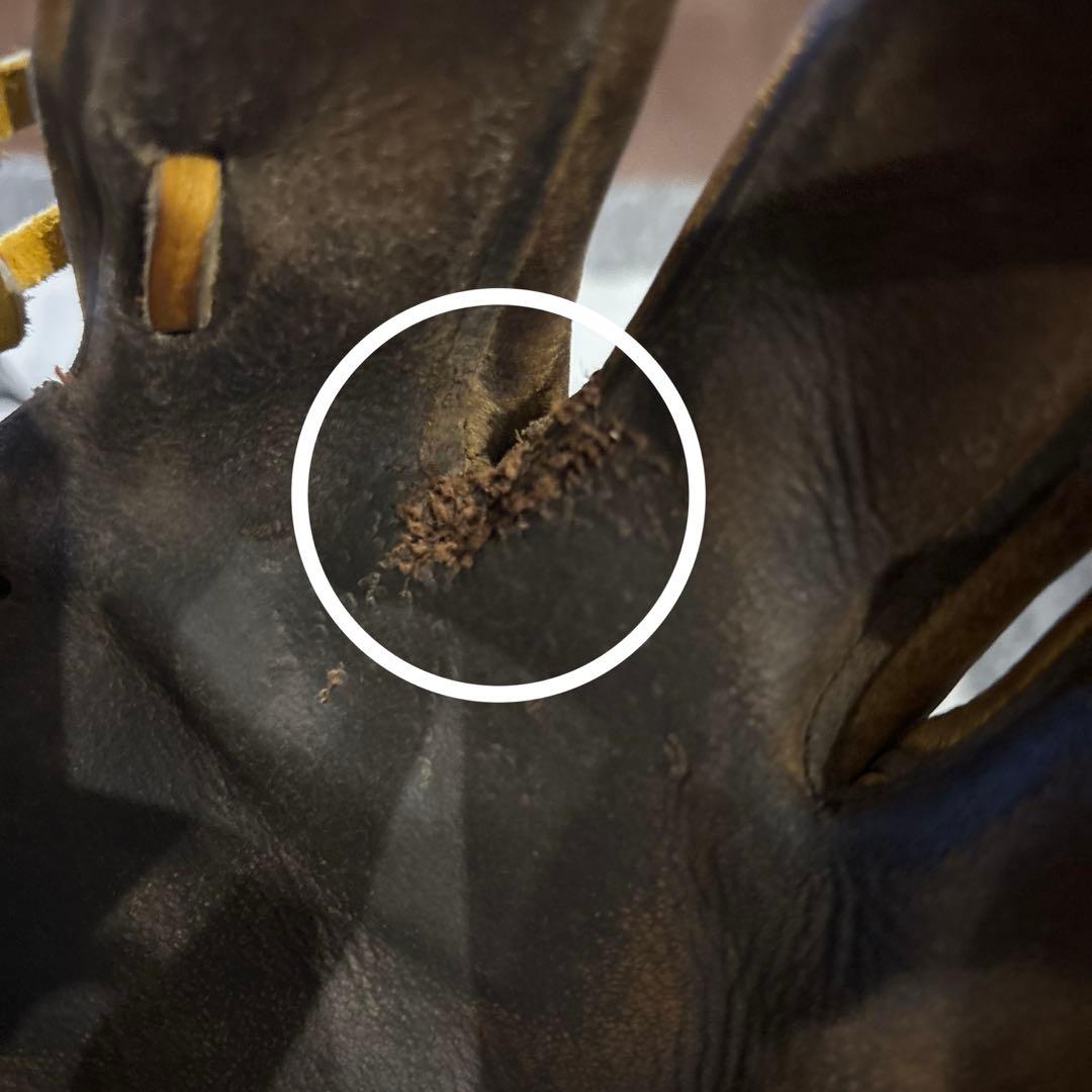 あ*お様 ミズノプロ 硬式グローブ 内野手用