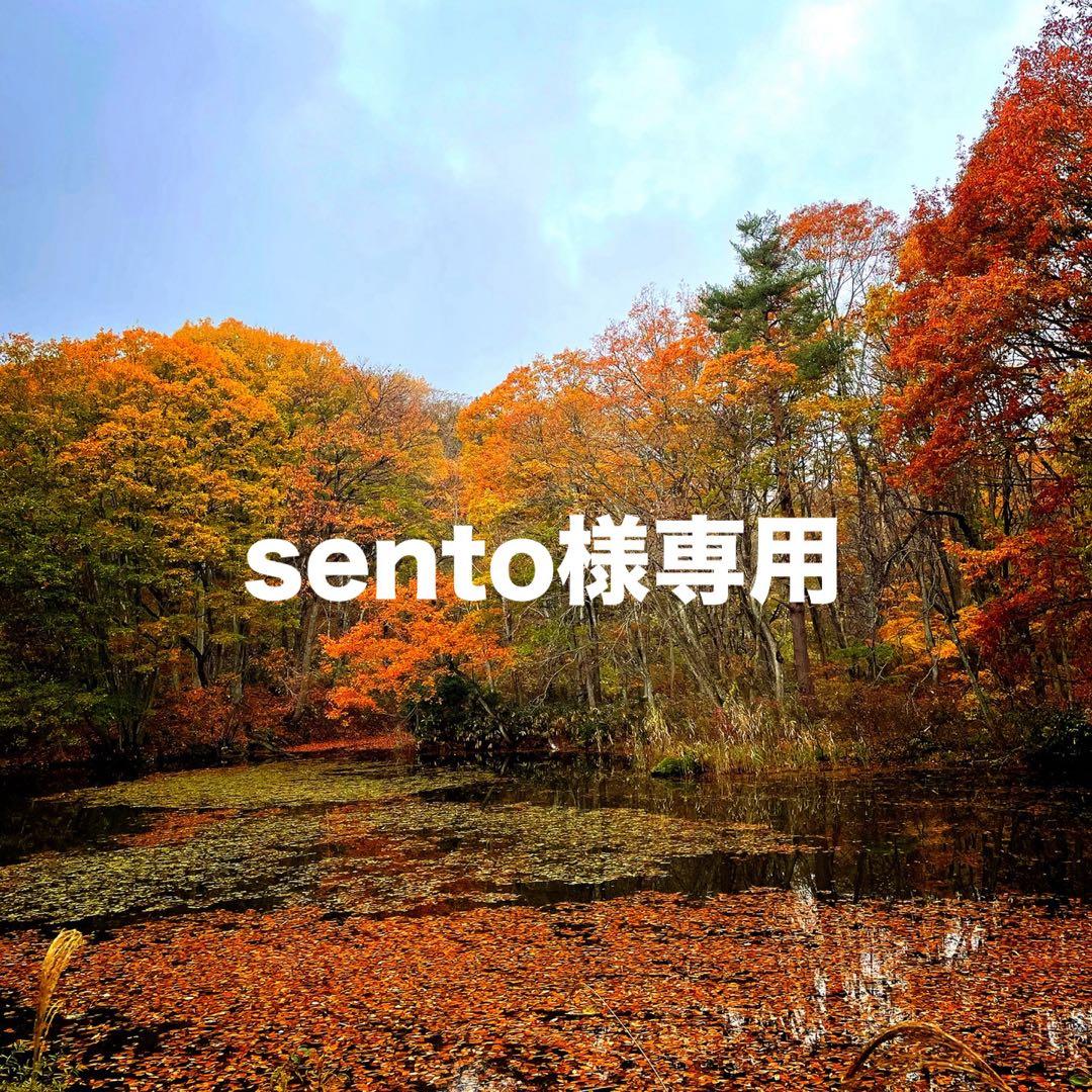 sento‼️天然きのこ ムラサキシメジ なめこ