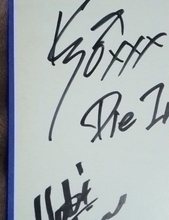 ミュージシャン DIE IN CRIES