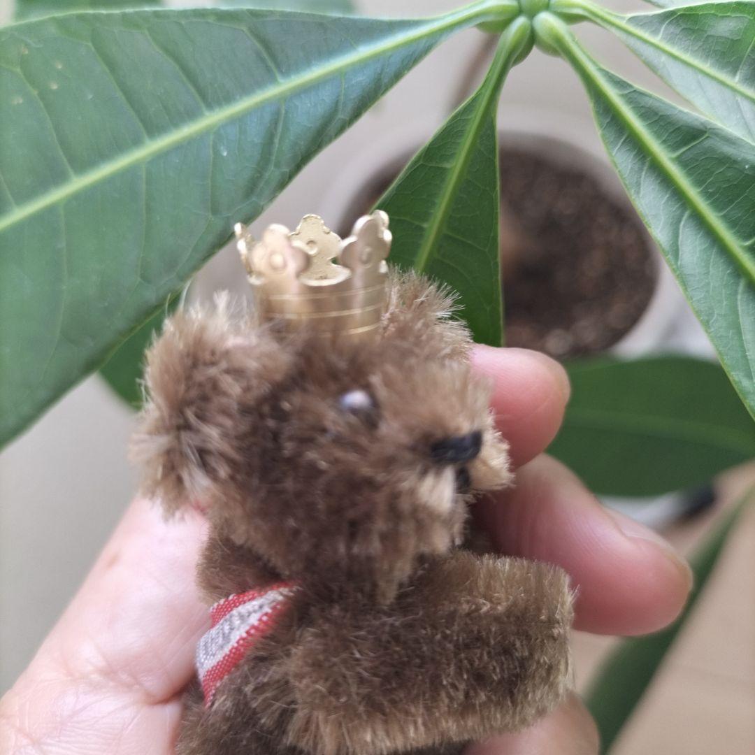 ドイツ　ビンテージ　schuco ベルリンベア　ミニチュアベア　シュコー