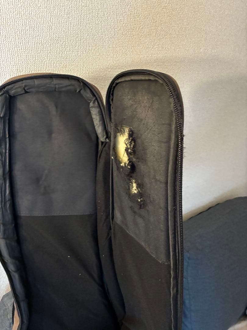 PRS SE Custom 24 サンバースト