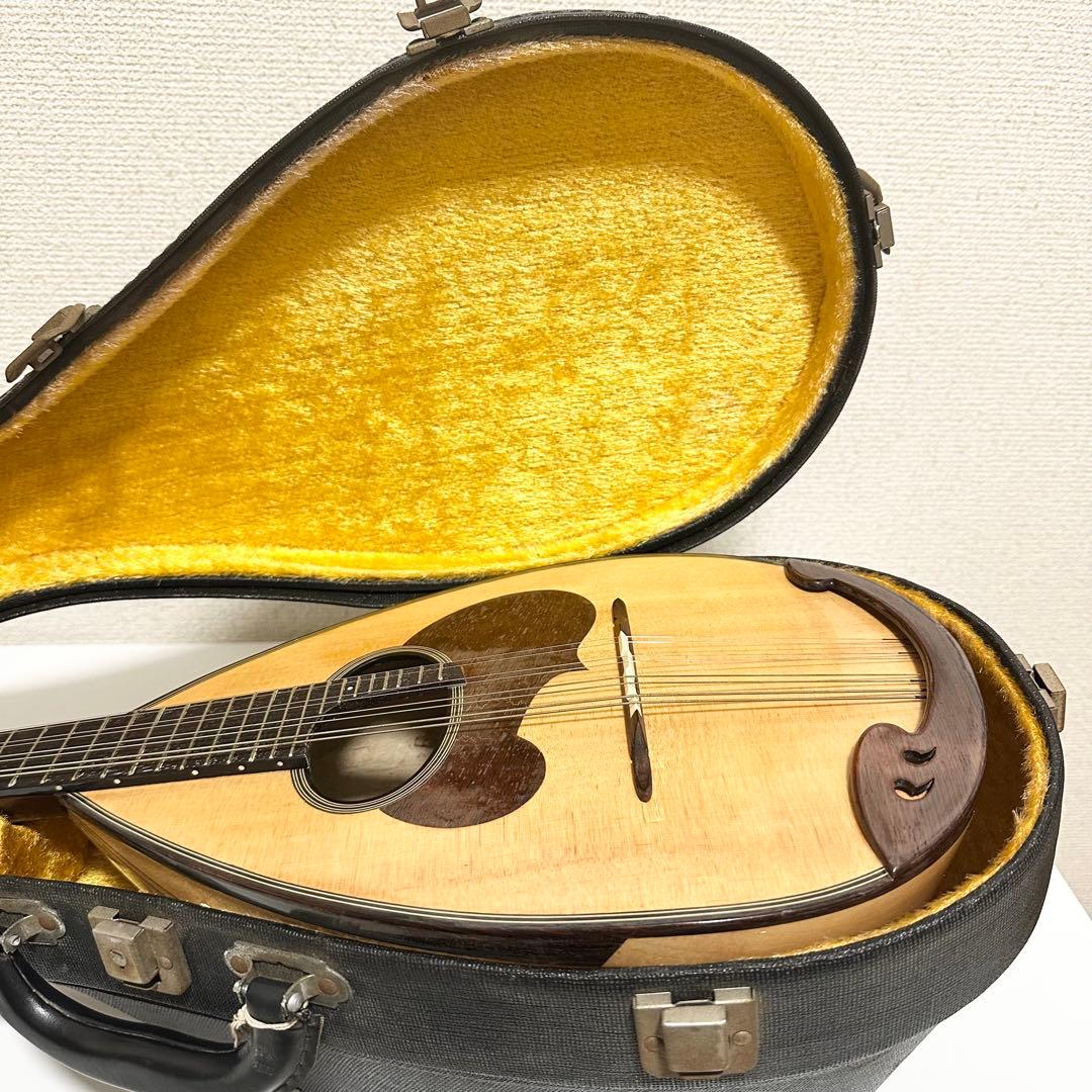 【良品】SUZUKI マンドリン　M-30 ハードケース　スズキ　M30