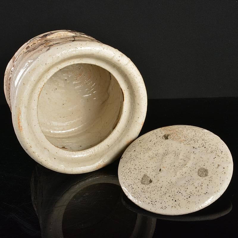 茶道具　志野焼　絵志野　鉄絵　花草文　水指　時代箱付　V　R6156B