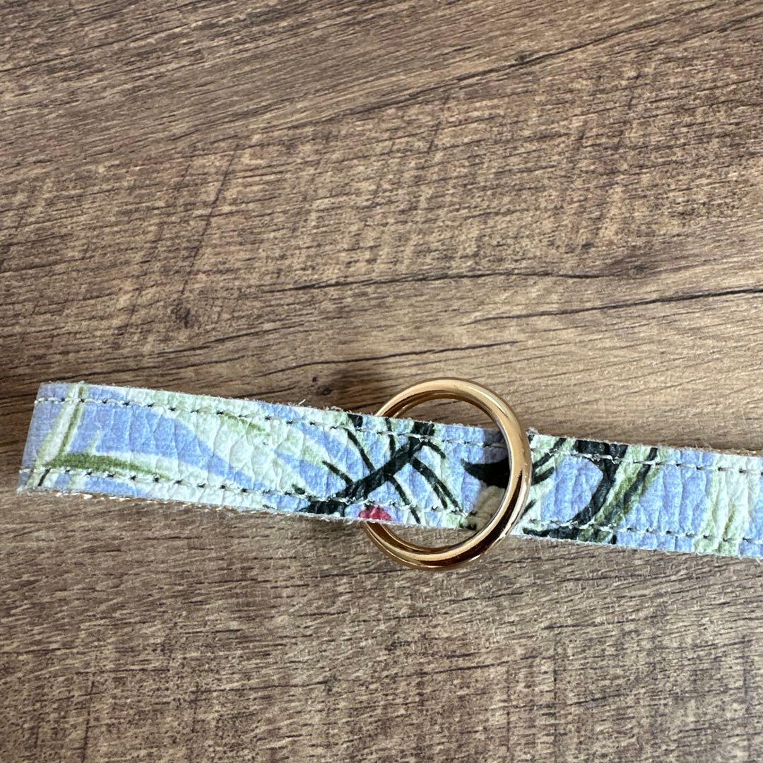 バディベルト　 BB バハマ 5号　 アクセントリード