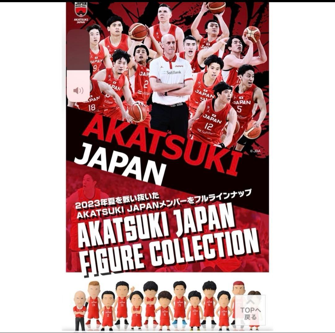 LIKE SPORTSAKATSUKI JAPAN FIGURE 全13体