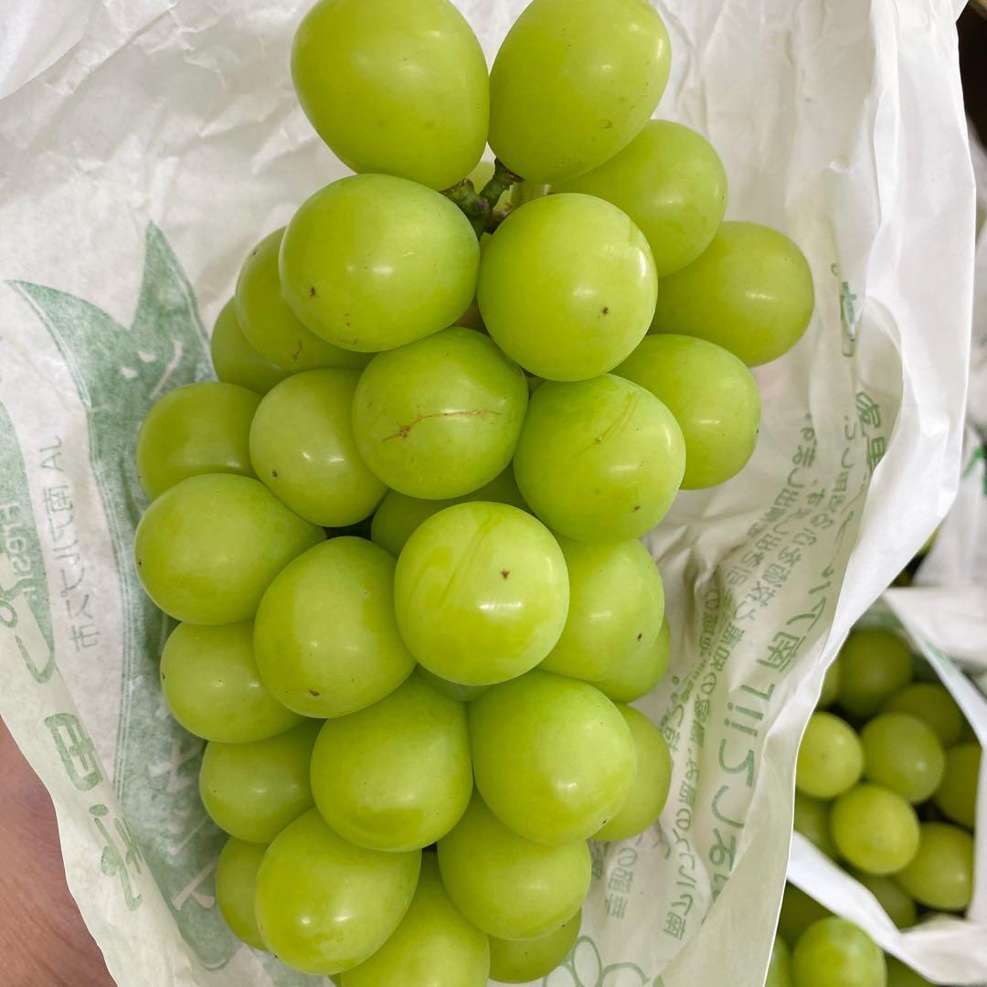 山梨県産　訳あり　家庭用　シャインマスカット　11房　箱込み5.6kg ⑭