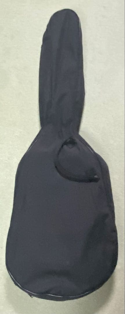 【値下げ】Epiphone EL-00 ギター（ケース・スタンドもセット）