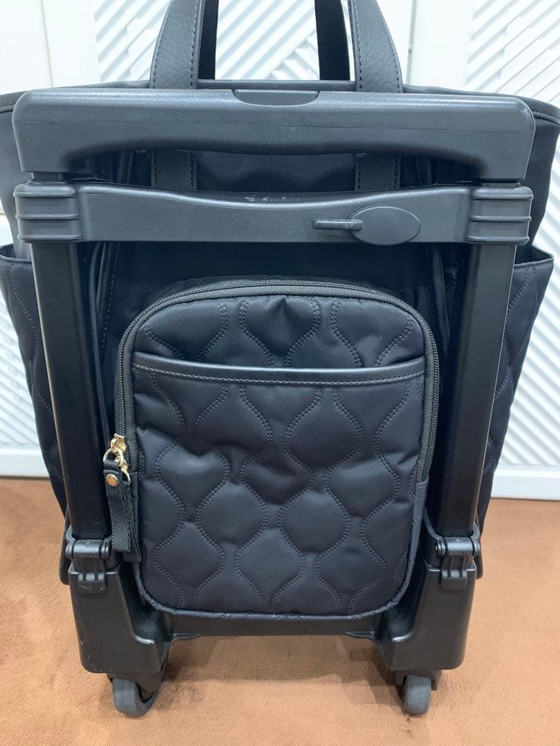 SWANY スワニー キャリーバッグ D-589 プーフォ M21 ブラック