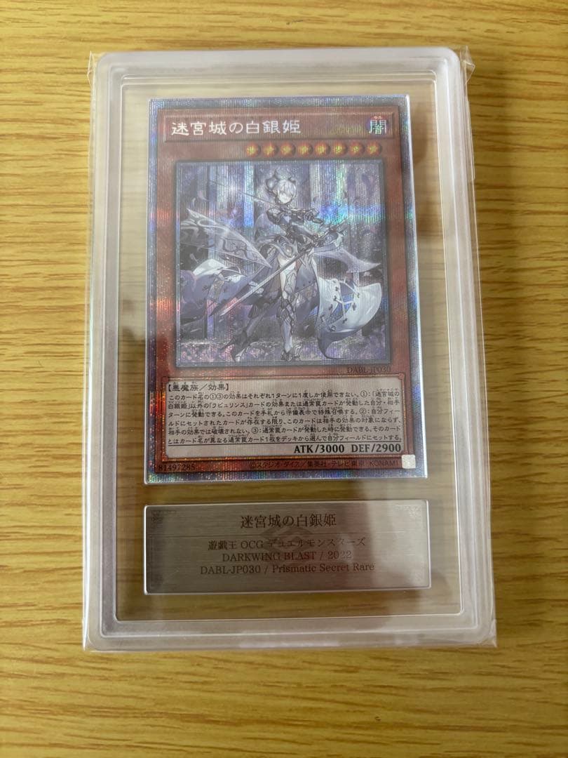 迷宮城の白銀姫　プリシク　ARS10