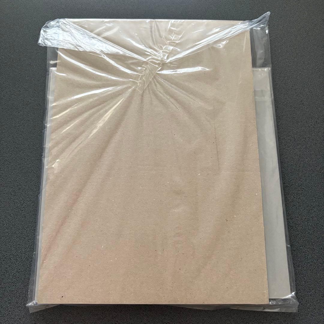 Chameleon セカオワ Fukase直筆サイン メガジャケ